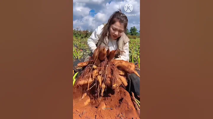 Survival Skills: SIMPLE and USEFUL#bushcraft #camping #outdoors