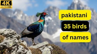 'Top 35 Beautiful Birds of Pakistan | Amazing Pakistani Birds with Names