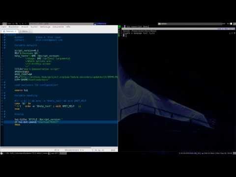 Text User Interface - newscript
