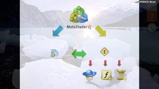 Famous 004 What is MQL4 and how does it work Net Worth