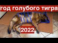 С наступающим 2022 годом !!!