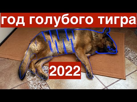 Видео: С наступающим 2022 годом !!!