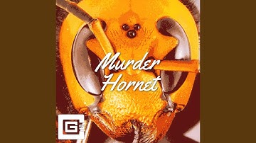 Thumbnail of Murder Hornet