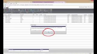 Web Guide - Munis Employee Inquiry