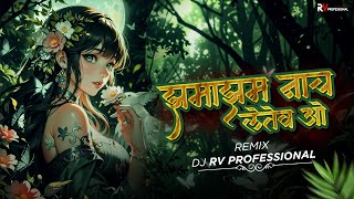 Jhama Jham Nach Letev Vo Remix | झमाझम नाच लेतेंव वो | Rv Professional