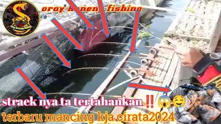Terbarru Mancing Kja Cirata2024 Straekanyah Tatertahahnkan