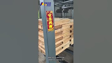 Continuous-Flow Automatic Veneer Stacker Machine #machine #wood #veneer #plywood #focusmach