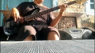 PSYCHO MANIMALIUM - BOOMERANG [basscover] #boomerang #bass #cover