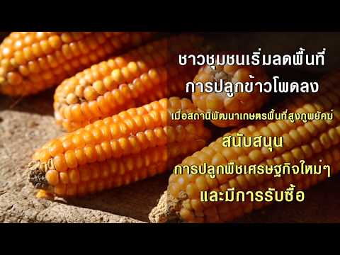 ศูนย์วิจัยและพัฒนากฎหมาย คณะนิติศาสตร์ มหาวิทยาลัยเชียงใหม่: งานวิจัยเด่น