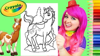 Coloring a Horse | Pencils