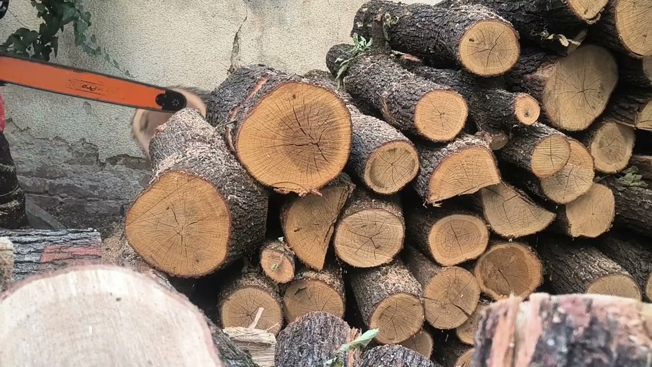 ECHO CS 7310SX 💥💯💪🤪