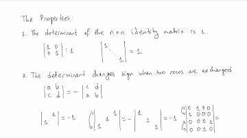 The Properties of the Determinant