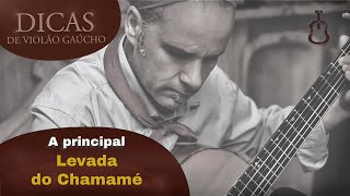 PORQUE USAR ESTA LEVADA DE CHAMAMÉ | MARCELLO CAMINHA