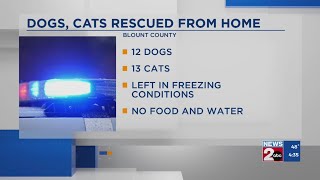 6 charged after 12 dogs, 13 cats rescued from TN home