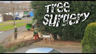 Cutting Down a Row of Trees