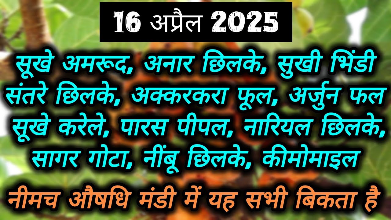 नीमच औषधि मंडी में बिकने वाली सभी औषधियों के भाव 🤯🤯 | नीमच औषधि मंडी | Neemuch Mandi