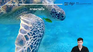 screenshot of the youtube video