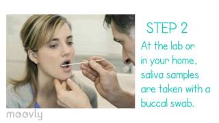 How does a DNA Paternity Test work