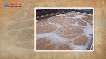 Dự án cải tạo, nâng cấp hệ thống xử lý nước thải chăn nuôi | Công ty môi trường Hợp Nhất