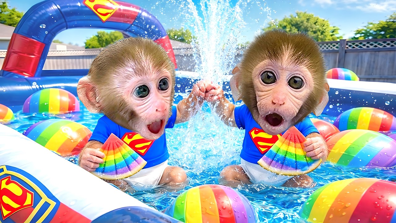 Abe BonBon leger med andre søde aber og går i skole med sine venner - BonBon Danmark