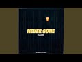 Never Gone 