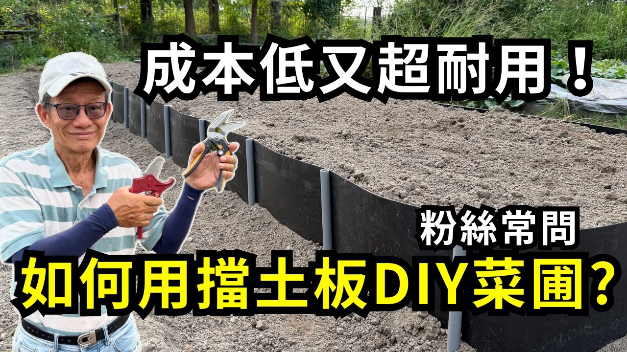 用擋土板DIY菜圃超耐用！太多人問怎麼固定擋土板，用對資材和省力的剪刀工具，可以做出漂亮又好用的菜圃，讓菜園更整齊好管理| 阿星種植