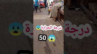 سوق الديوانيه 1 ضهرا ?موت حر جوله قصيرة سوق الدجاج شارع العلاوي اسماك الزينه