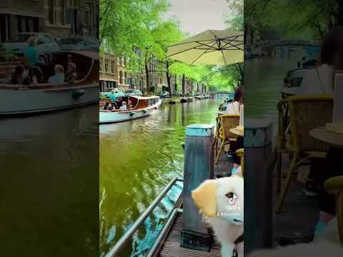 Jordaan, Amsterdam. ??????