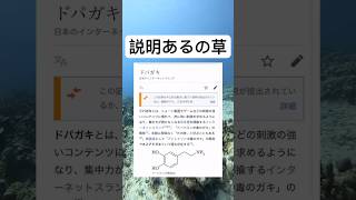 #shorts#面白い#笑える#説明#wikipedia#画像