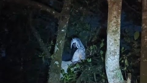 Challenge Super Ed4nn Di Malam Minggu Cari Hantu