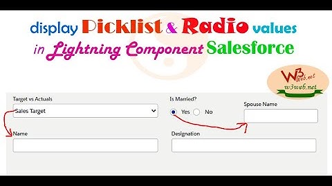 Get Picklist Value Dynamic and display Picklist values & Radio Buttons value in Lightning Component