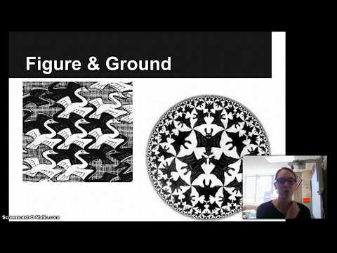 Video: Was ist Figur Ground Segregation?