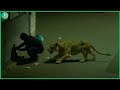 Animals That Asked People for Help & Kindness Caught On Camera! Best moments of 2025 #100