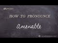 How to Pronounce Amenable (Real Life Examples!)