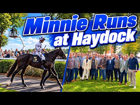 Perfect Gal runs at Haydock - An Honest Day As A Racehorse Owner 