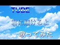 チューブ  君に賭けるよ  【cover】