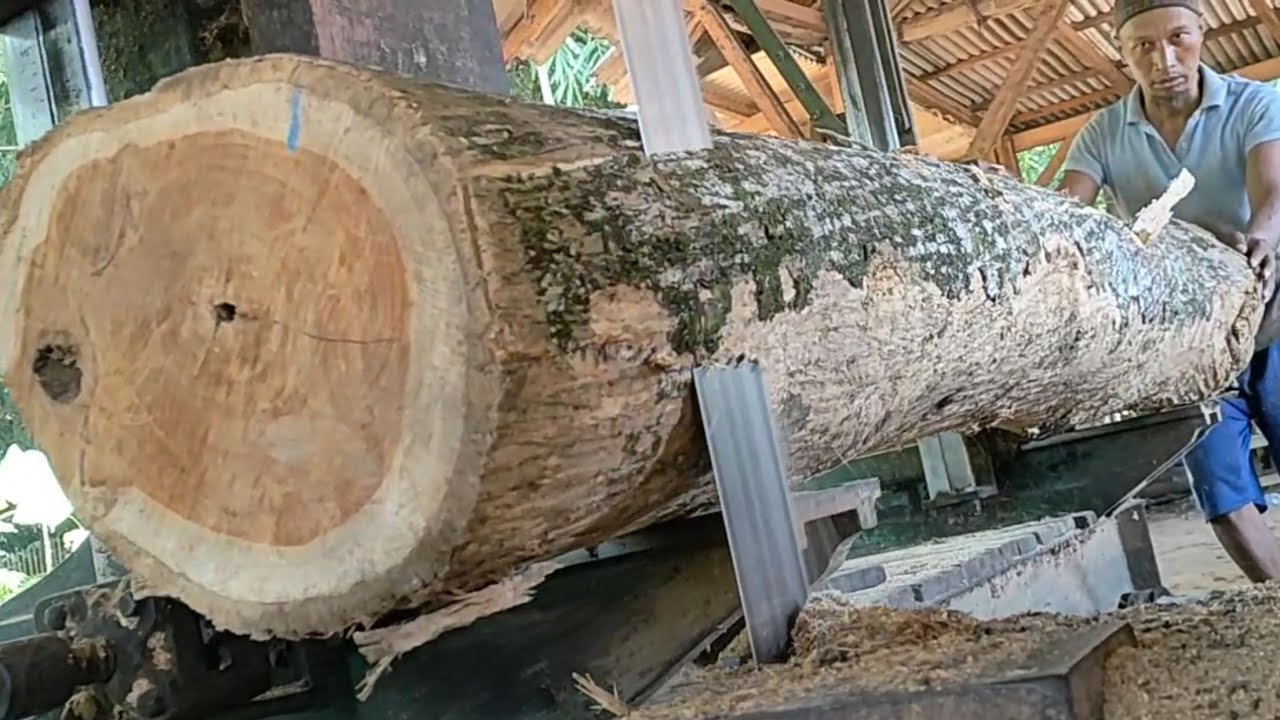 the process of sawing teak wood to make furniture materials at a ...