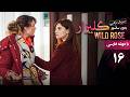 سریال ترکی گلیزار قسمت 16 دوبله فارسی Serial Gulizar Wildrose 