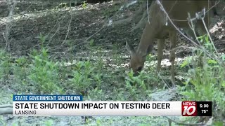 State shutdown could impact testing deer