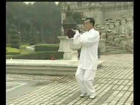 Funei Yang Style Taijiquan - Wisdom Fist