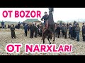 OT BOZOR NARXLARI SURXONDARYO SARIOSIYO OT BOZORI 13-Yanvar 2022