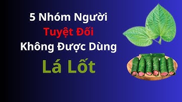 Đừng ăn lá lốt nếu bạn thuộc 5 nhóm người này - Lợi ích bất ngờ của lá lốt | Dr July