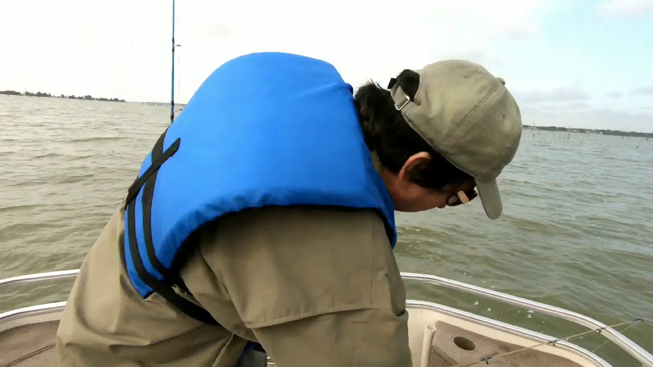 Huge Catfish - YouTube