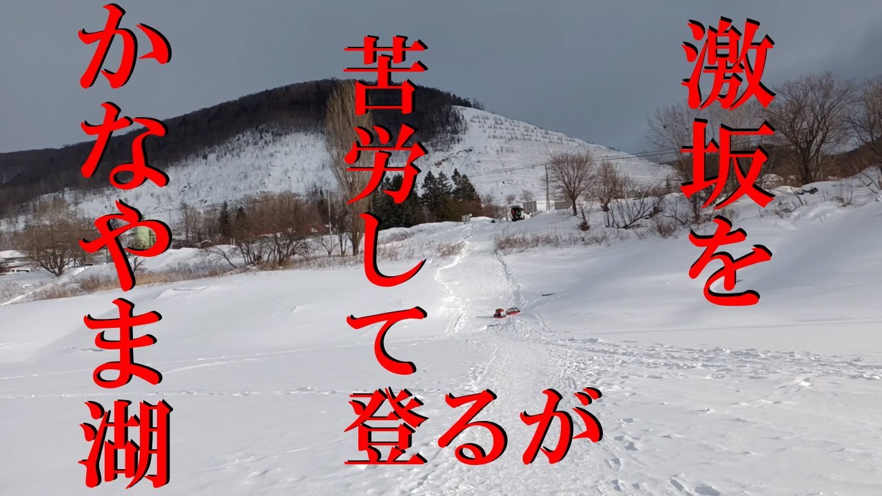 ワカサギ釣り かなやま湖 水深5mの一番楽しい時期 X-DAYとまではいかず