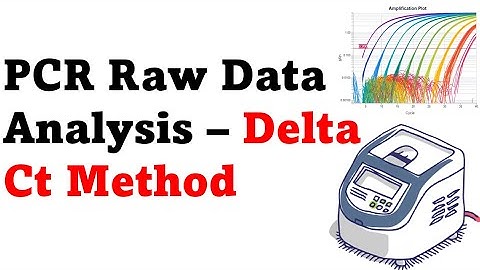 How to analyze PCR data using the delta CT method? Full tutorial in 5 minutes
