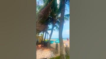 Mũi né phan thiết