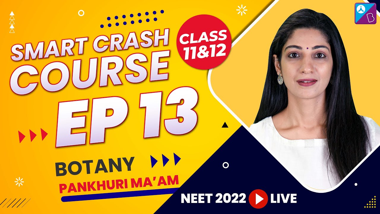 Best NEET Botany (Biology) Crash Course for Free (Ep 13) - NEET Mock Crash Course 2022