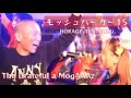 【LIVE】The Grateful a MogAAAz-2026.01.25 「モッシュバーガー15」