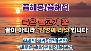 “죽은 물고기 꿈 끝이 아니라 ‘감정의 리셋’입니다🌊”#꿈해몽 #죽은물고기꿈 #감정의정리 #새로운시작 #무의식의메시지 #길몽 #심리해석 #감성꿈 #회복의징조 #마음리셋