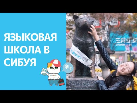 Как проходят уроки в языковой школе в Японии. Академия японского Икуэй